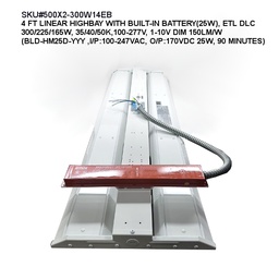 500X2-300W14EB